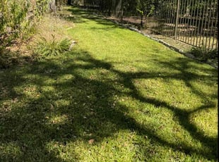 Kimberly H.'s Lawn Mowing service result