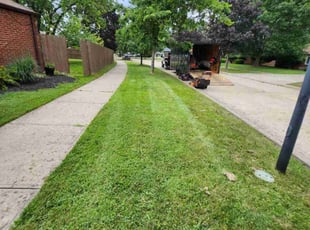 David M.'s Lawn Mowing Service service result