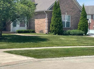 Ata B.'s Lawn Mowing Service service result