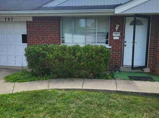 Bush Trimming by Nicholas Weber for Samantha D. in Cincinnati, OH