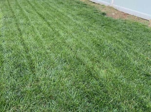 Beth B.'s Lawn Care service result