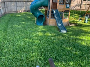 Lorraine A.'s Lawn Service service result