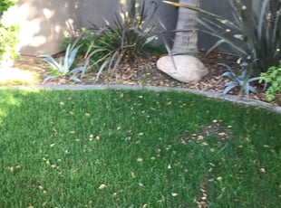 Annur S.'s Bush Trimming service result