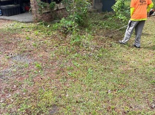 Cleanups by Leon Brown for Mike R. in Summerville, SC