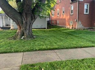 Andre C.'s Lawn Care service result