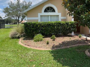Bush Trimming by Kristian Bergman for Glenn M. in Orlando, FL