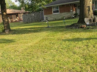 Jeffrey G.'s Grass Cutting service result