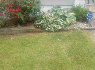 Weeding by Christian Rivera for Carrie M. in Cleveland, OH