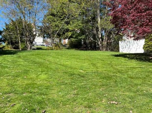 Donald H.'s Lawn Maintenance service result