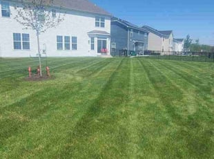 Nolan C. H.'s Lawn Mowing service result