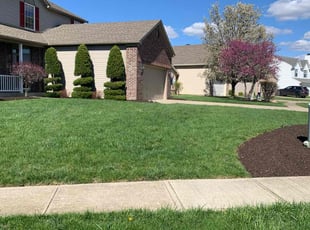 Shelia B.'s Lawn Maintenance service result