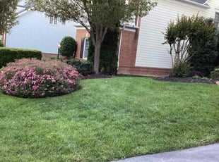 Debi K.'s Lawn Service service result
