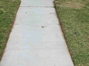 Michael J.'s Lawn Mowing service result