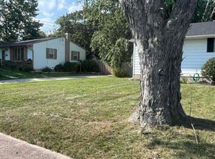 John J.'s Lawn Mowing service result