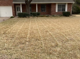 Leaf Removal by Fred Rodriguez for Asra Z. in Round Rock, TX