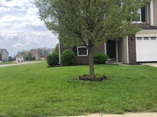 Tonda P.'s Lawn Mowing Service service result