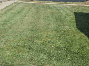 Ashley N.'s Lawn Maintenance service result