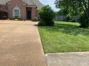 Genevieve T.'s Lawn Mowing service result