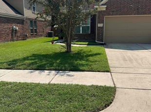 MICHAEL H.'s Lawn Care service result
