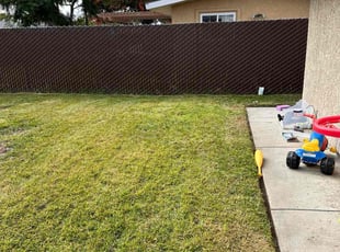 Celia S.'s Lawn Care service result