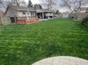 Kevin F.'s Grass Cutting service result