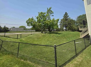 Ruth L.'s Lawn Mowing service result