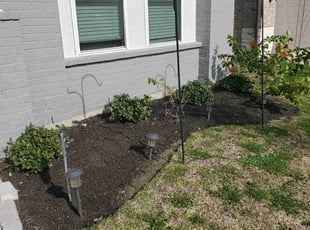Weeding by Juan Bautista for Amanda P. in Baytown, TX