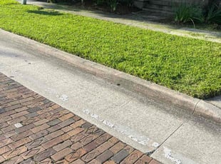 Xochilt M.'s Lawn Mowing service result