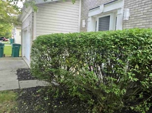 Bush Trimming by John Williams for Marshawn W. in Indianapolis, IN