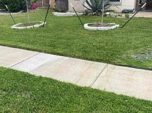 Luay A.'s Lawn Mowing service result