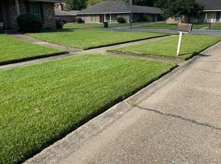 Rachelia R.'s Lawn Mowing service result