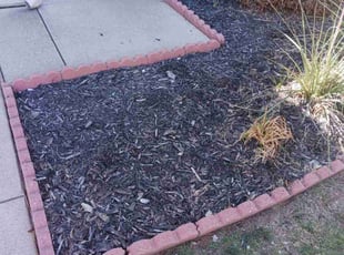 Weeding by Renarld Gardner for Cameron C. in Fort Worth, TX