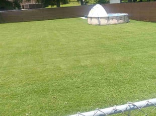 James R.'s Lawn Mowing service result