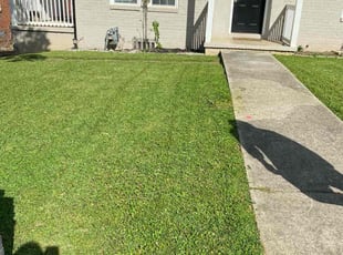 ANTONIO W.'s Lawn Mowing Service service result