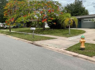 Tari H.'s Lawn Service service result