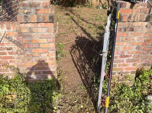 Cleanups by Curtis Caver for Sean E. in Mobile, AL