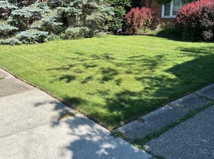 Cheryl C.'s Yard Cutting service result