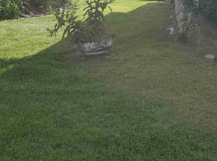 Danny B.'s Grass Cutting service result
