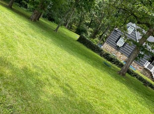 Junior A.'s Lawn Mowing Service service result