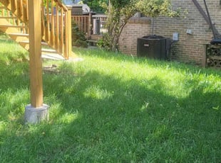 Lakeisha M.'s Grass Cutting service result
