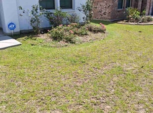Weeding by Brian Wright for Keirysha B. in Zachary, LA