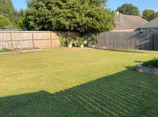 CHARLOTTE D.'s Lawn Maintenance service result