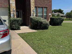 Bush Trimming by Liobardo Ortiz for Lateefah R. in Seagoville, TX