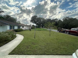 Chris M.'s Lawn Mowing Service service result