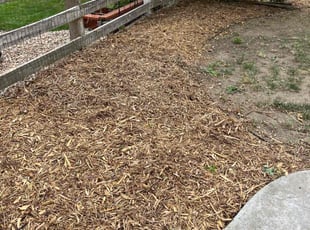 Mulching by Riley Harris for Gail M. in Commerce City, CO