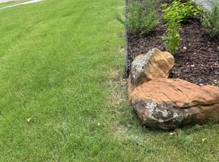 John H.'s Yard Cutting service result