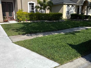 Gwenetta C.'s Lawn Service service result