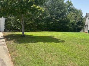 Harry C.'s Lawn Mowing service result