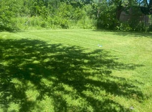 Ken P.'s Lawn Mowing service result