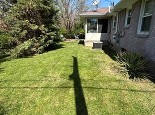 Rafer B.'s Lawn Mowing Service service result